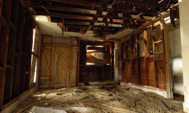 Under Noisy Wind Cover - IMG_4795X.jpg