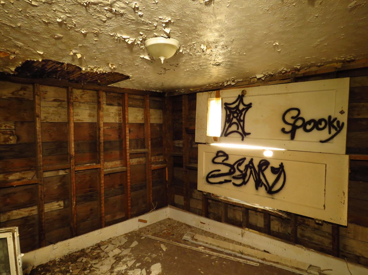 Under Noisy Wind Cover - IMG_4798-3.jpg