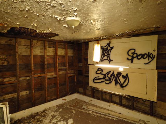 Under Noisy Wind Cover - IMG_4798-3.jpg