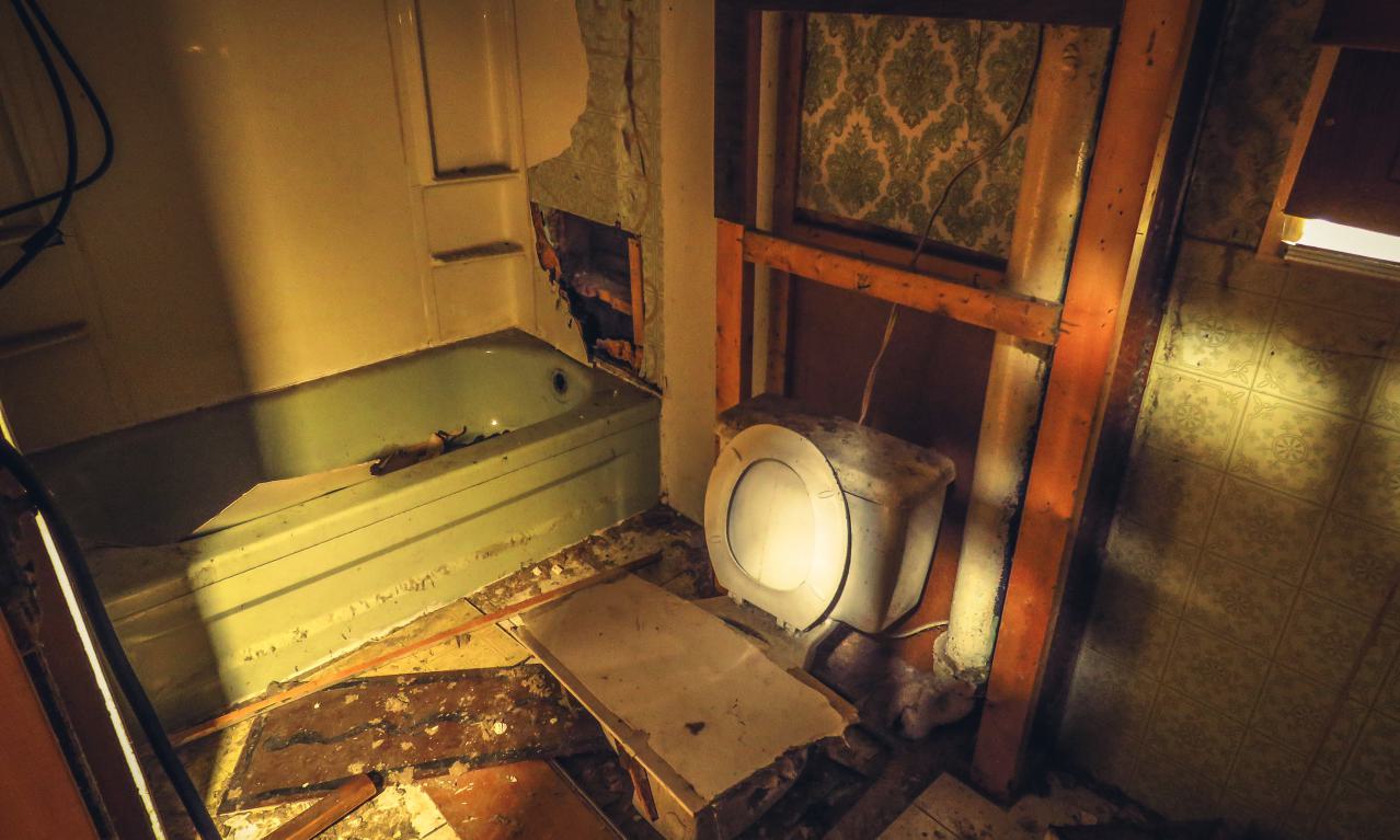 Under Noisy Wind Cover - IMG_4800-2X.jpg