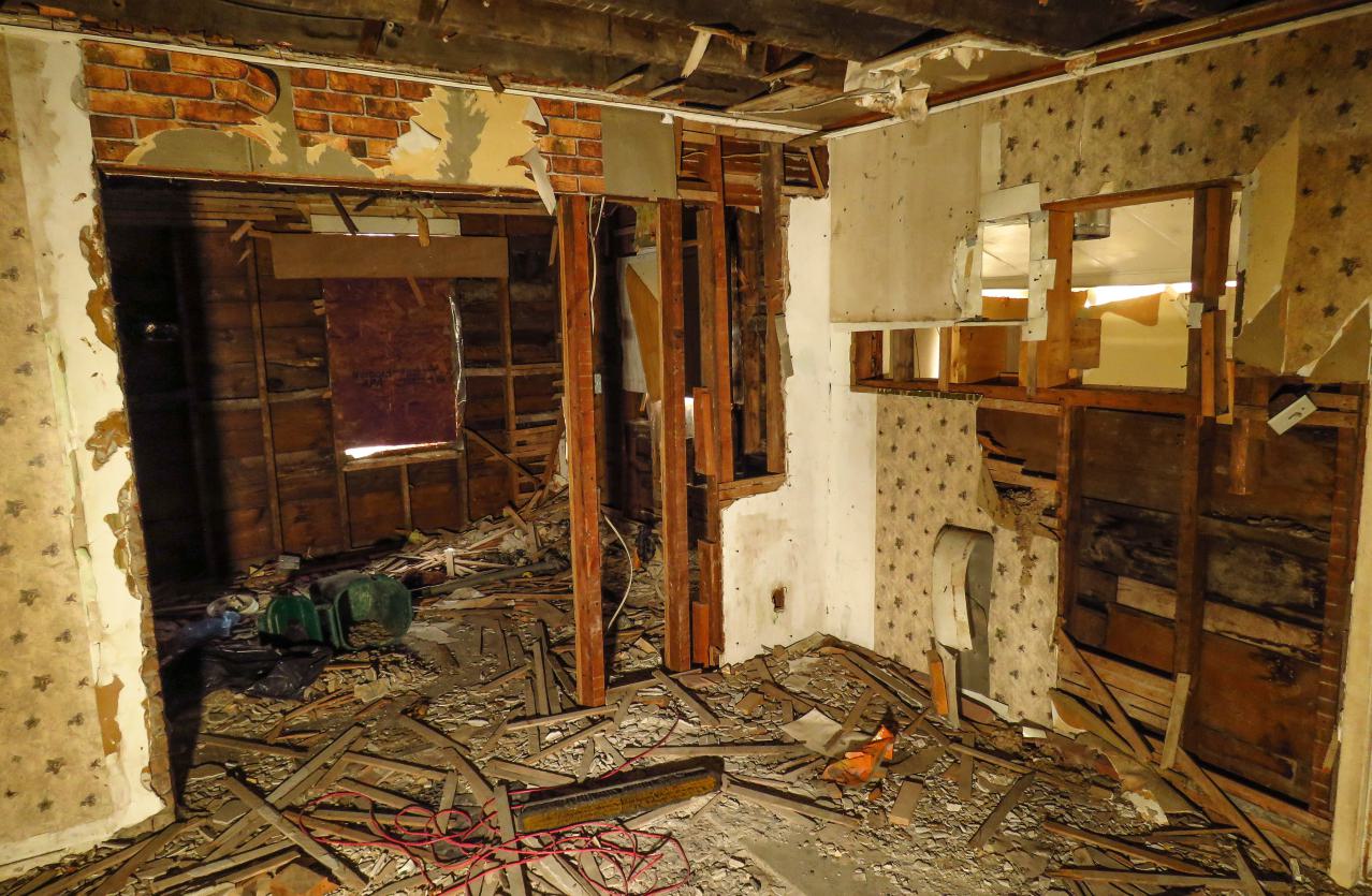 Under Noisy Wind Cover - IMG_4804-2X.jpg