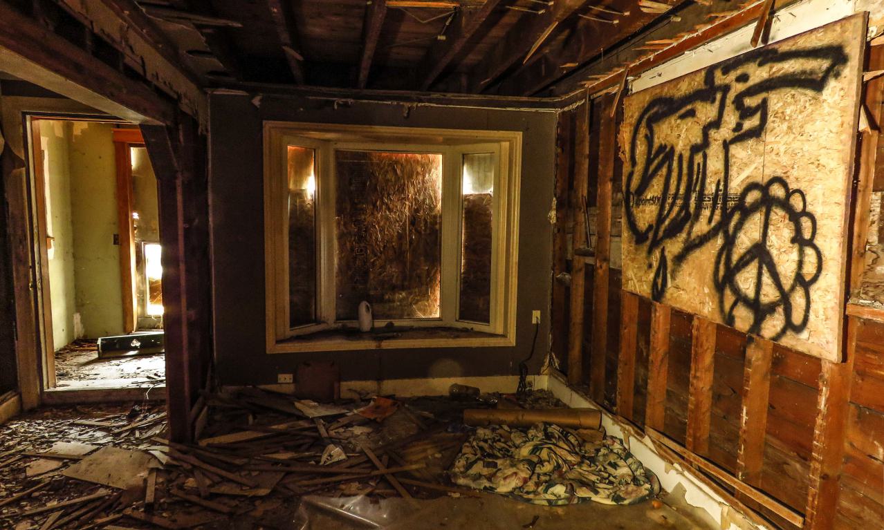 Under Noisy Wind Cover - IMG_4809-2X.jpg