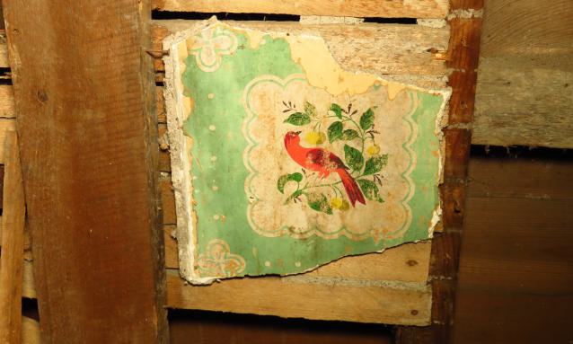 Under Noisy Wind Cover - IMG_4814X2.jpg