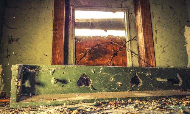 Under Noisy Wind Cover - IMG_4825-2X.jpg