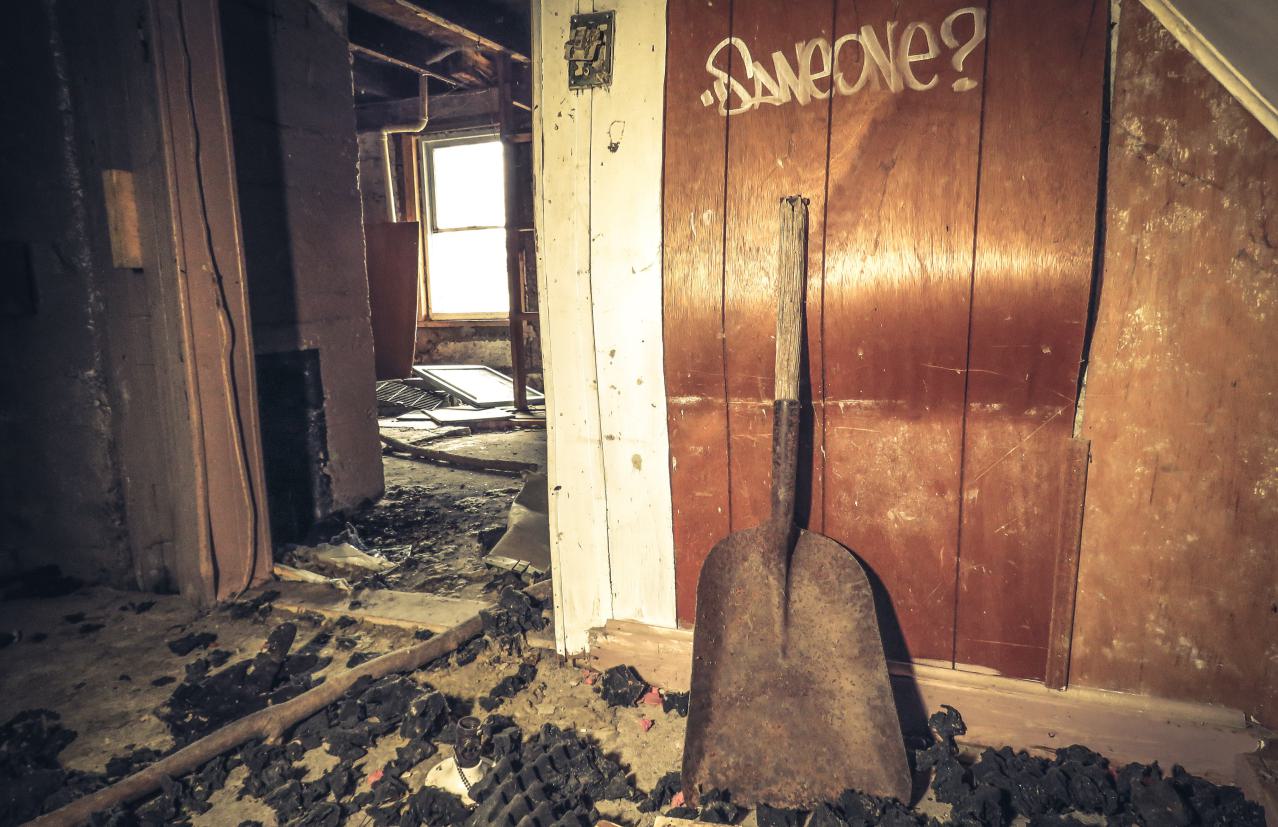 Under Noisy Wind Cover - IMG_4829-2X.jpg