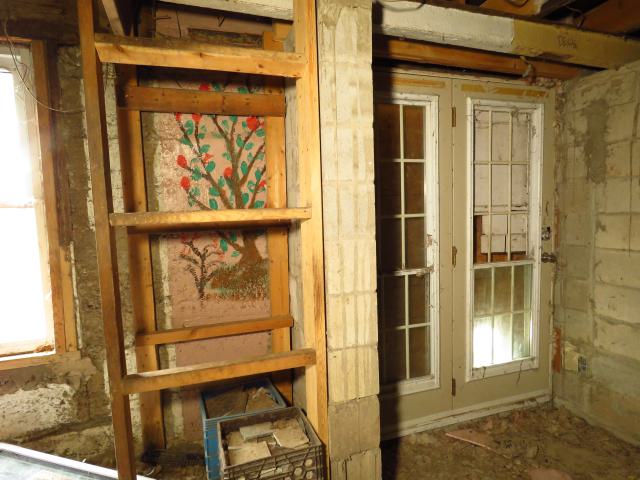 Under Noisy Wind Cover - IMG_4835.JPG