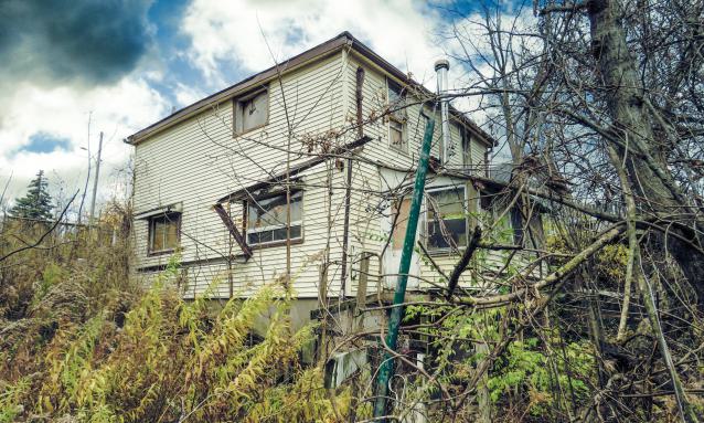 Under Noisy Wind Cover - IMG_4840b (1)-2X.jpg