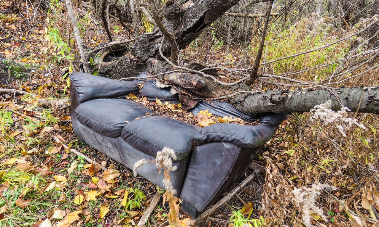 Under Noisy Wind Cover - IMG_4841-2X.jpg