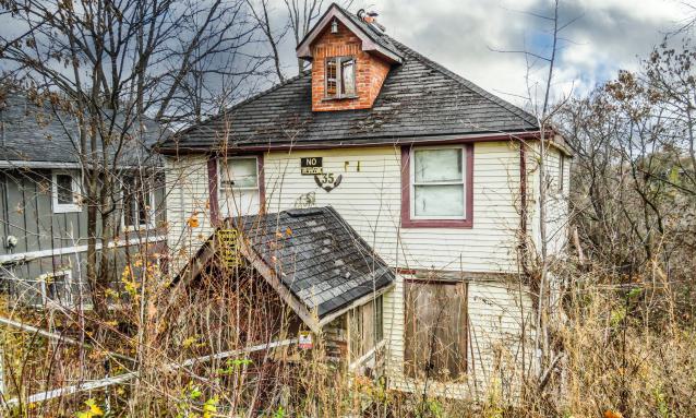 Under Noisy Wind Cover - IMG_4846 (1)-2X.jpg