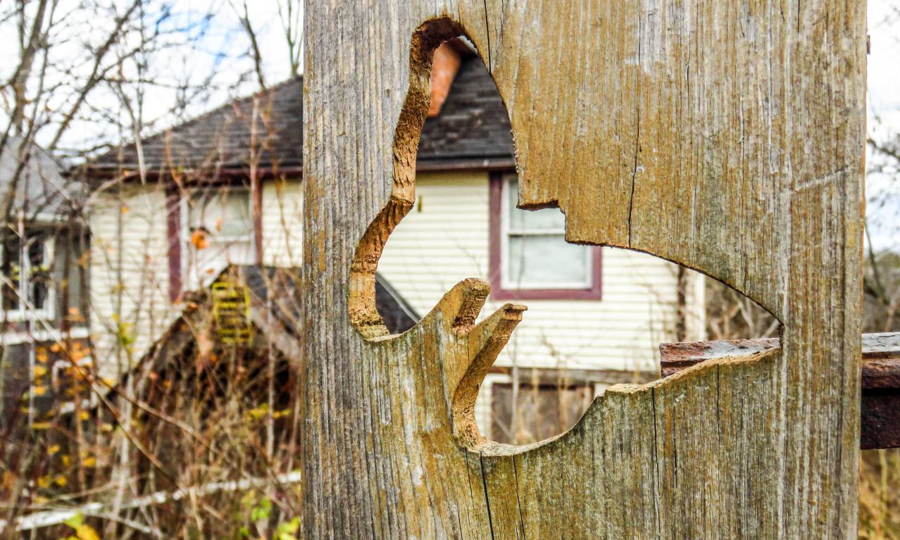 Under Noisy Wind Cover - IMG_4853-2X.jpg