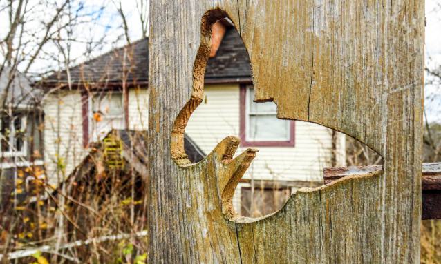 Under Noisy Wind Cover - IMG_4853-2X.jpg