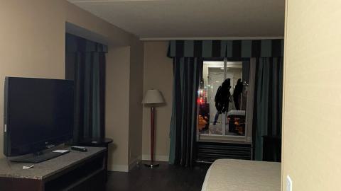 The hilton - IMG_1924.jpeg