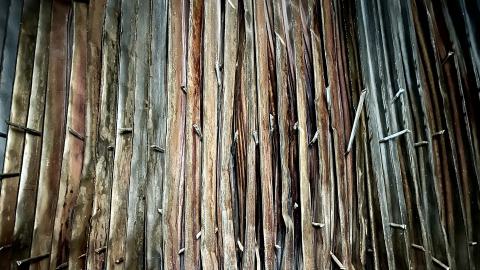 Cascades Pulp & Paper - IMG_3795.jpg