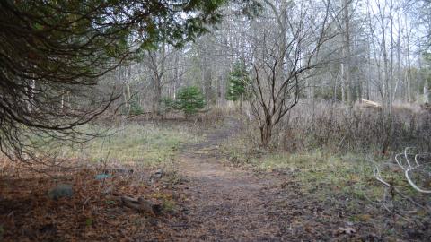 Photo from 12 Years Later