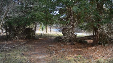 12 Years Later - DSC_0681.JPG