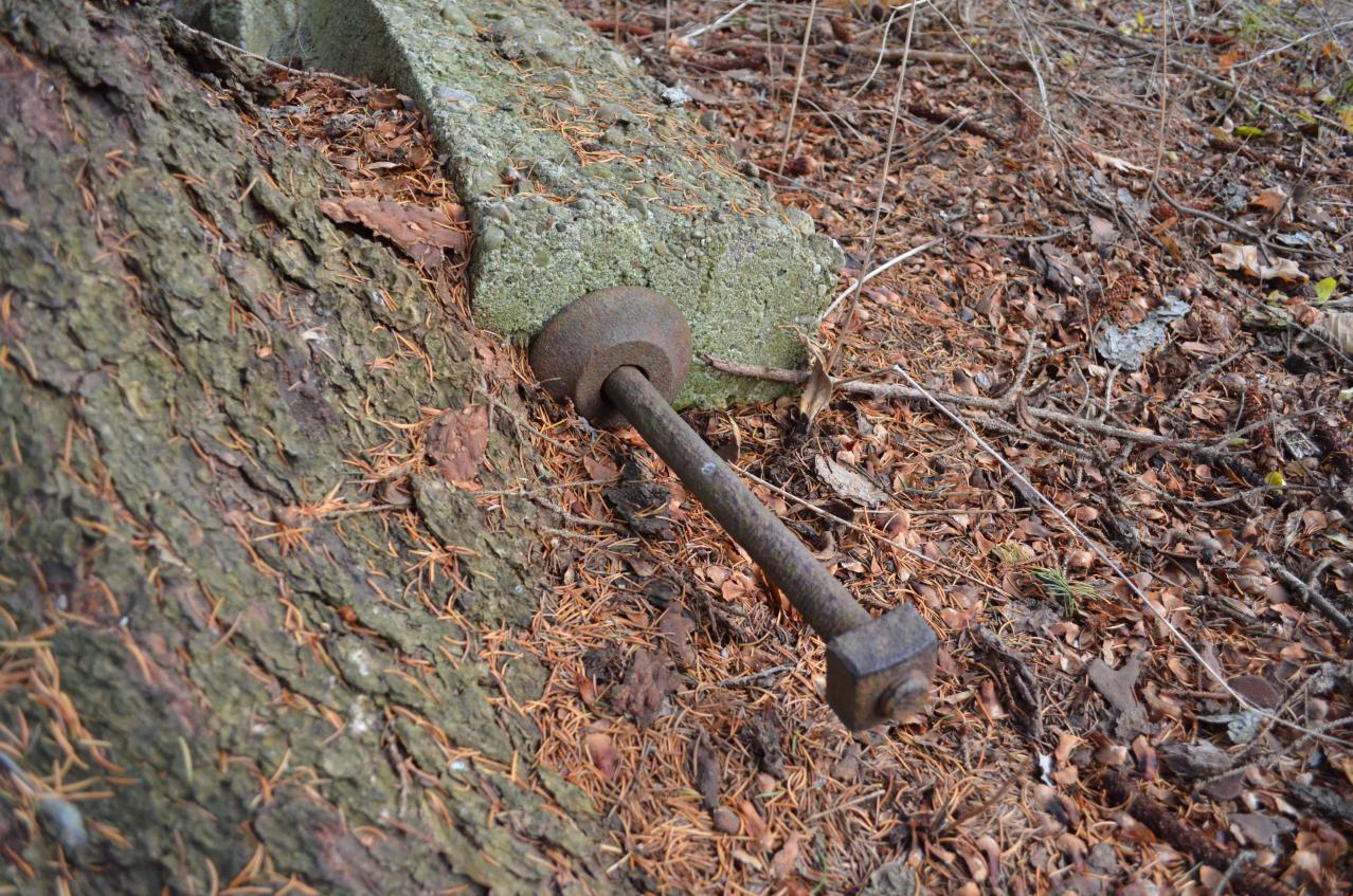 12 Years Later - DSC_0680.JPG