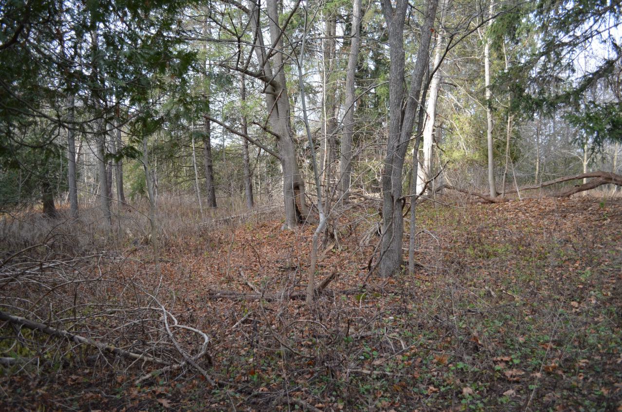 12 Years Later - DSC_0679.JPG