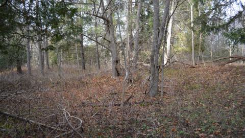 12 Years Later - DSC_0679.JPG