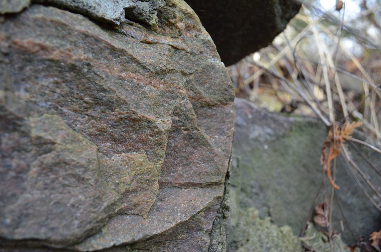 12 Years Later - DSC_0678.JPG