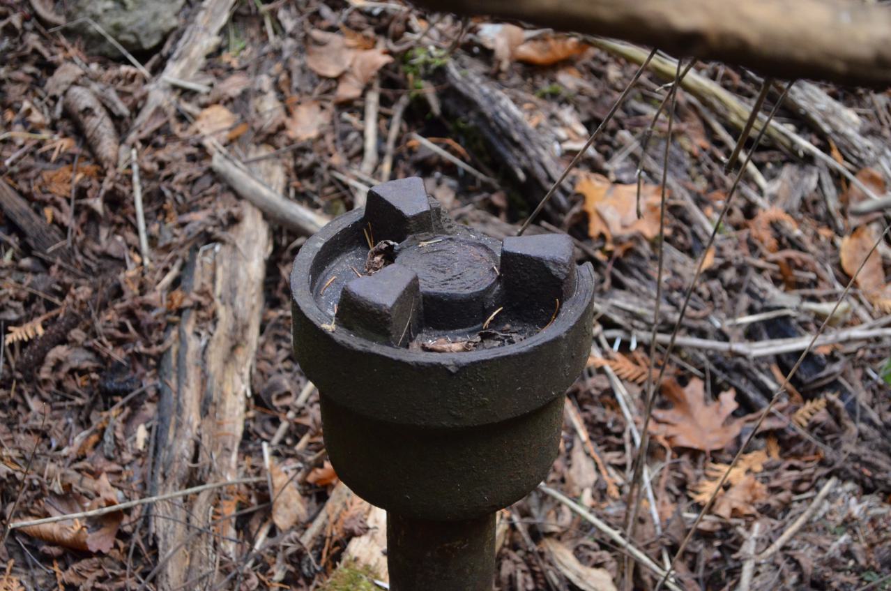 12 Years Later - DSC_0677.JPG