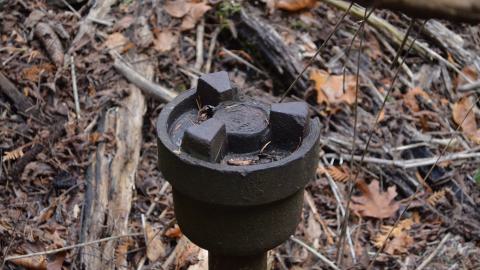 12 Years Later - DSC_0677.JPG