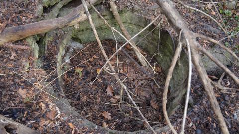 12 Years Later - DSC_0671.JPG