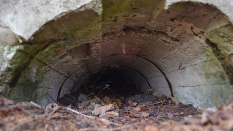 12 Years Later - DSC_0669.JPG