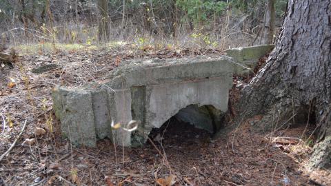 12 Years Later - DSC_0668.JPG