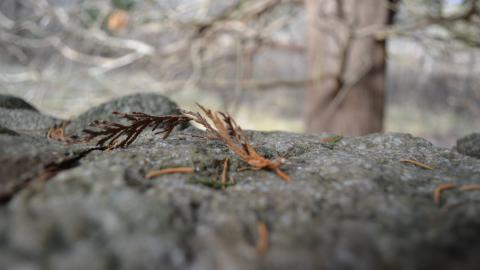 12 Years Later - DSC_0667.JPG