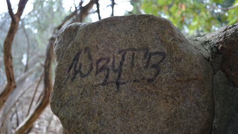 12 Years Later - DSC_0666.JPG