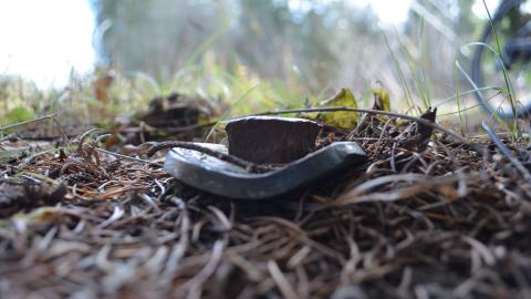 12 Years Later - DSC_0658.JPG