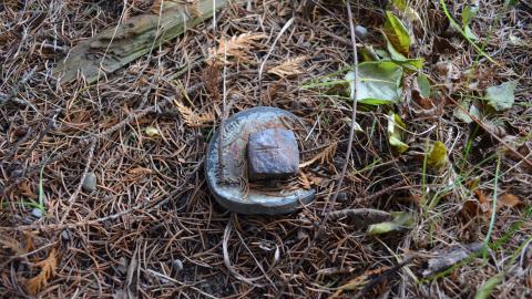 12 Years Later - DSC_0657.JPG