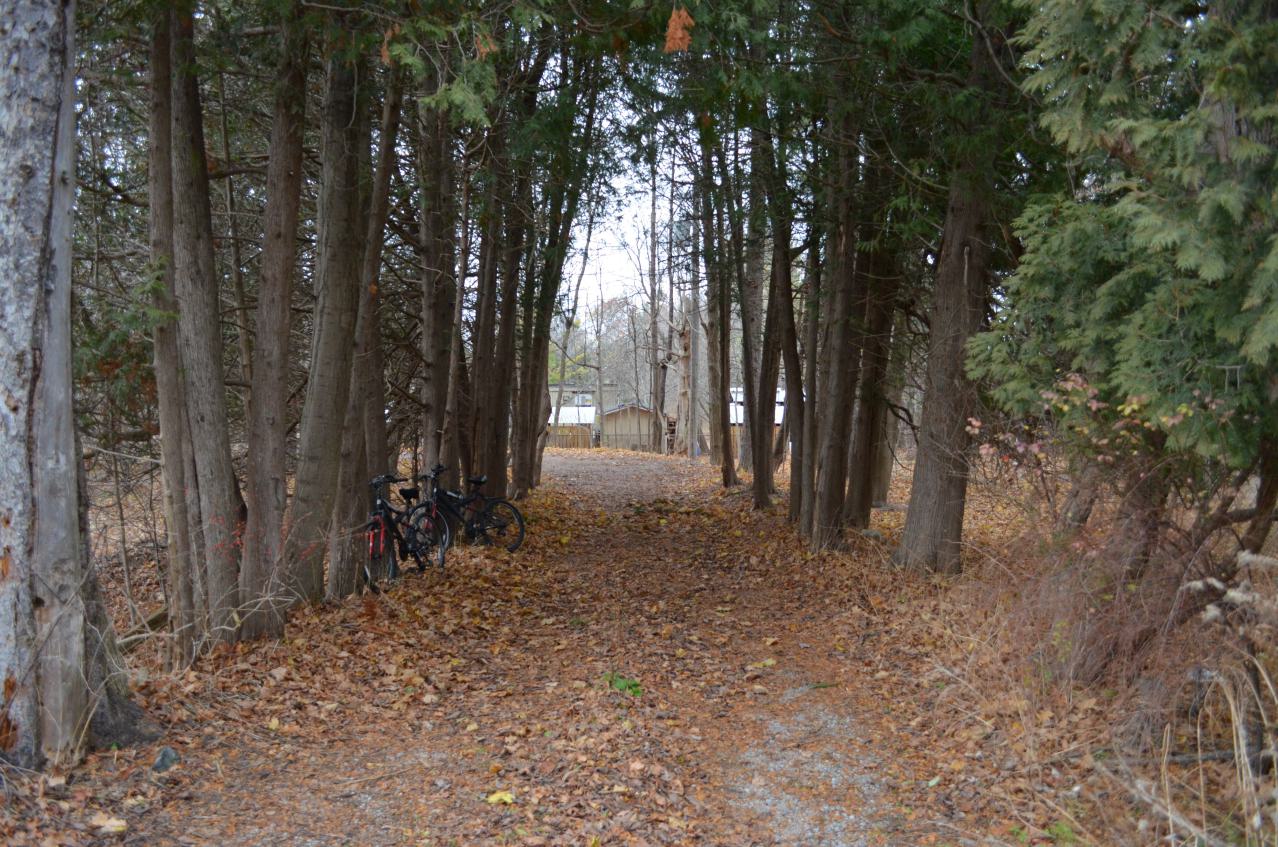 Ol' Finch's Foundations - DSC_0711.JPG