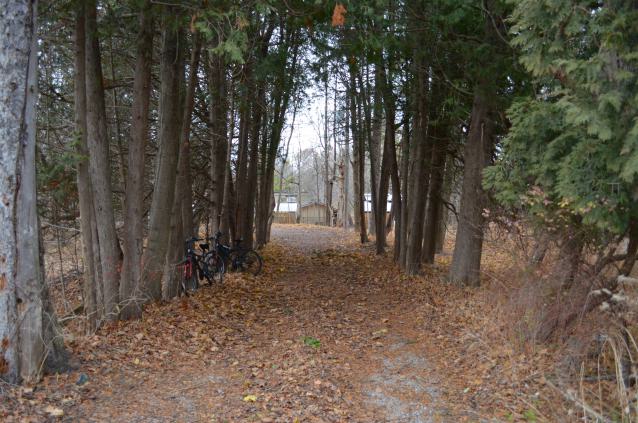 Ol' Finch's Foundations - DSC_0711.JPG