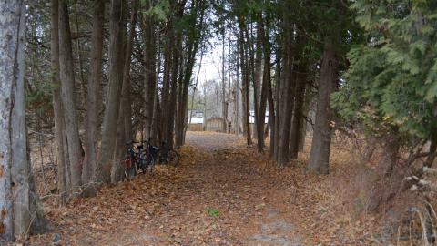 Ol' Finch's Foundations - DSC_0711.JPG