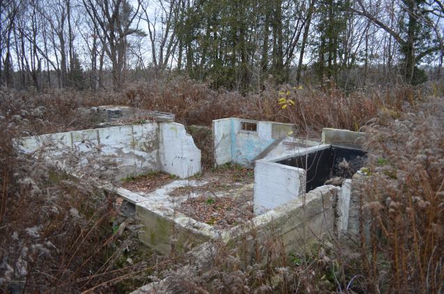 Ol' Finch's Foundations - DSC_0709.JPG