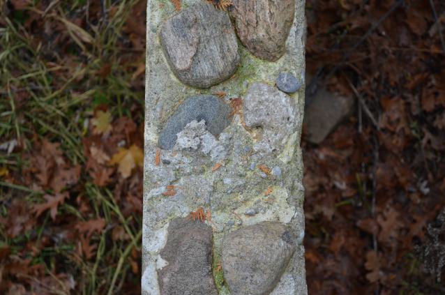 Ol' Finch's Foundations - DSC_0708.JPG