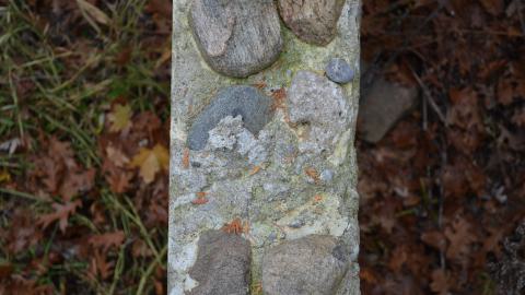 Ol' Finch's Foundations cover photo