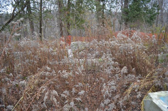 Ol' Finch's Foundations - DSC_0706.JPG