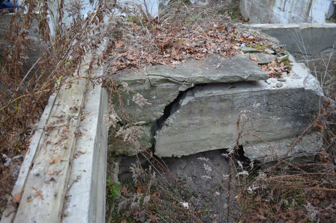 Ol' Finch's Foundations - DSC_0705.JPG