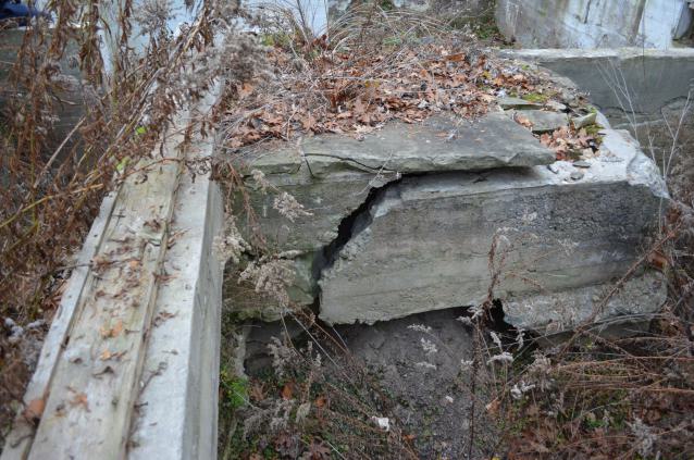 Ol' Finch's Foundations - DSC_0705.JPG