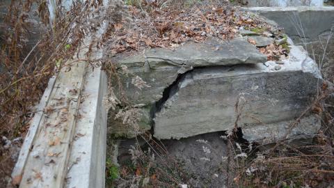 Ol' Finch's Foundations - DSC_0705.JPG