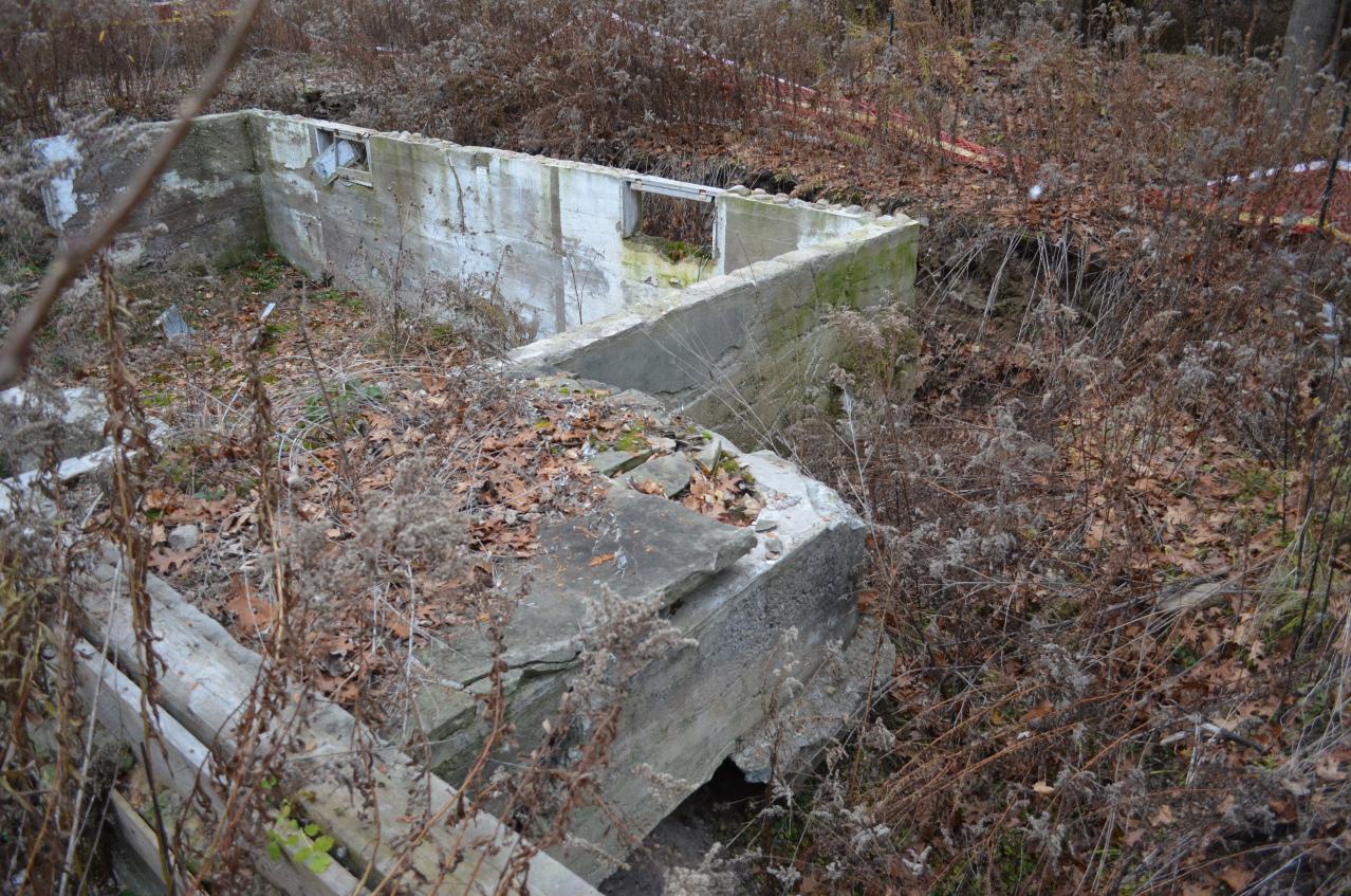 Ol' Finch's Foundations - DSC_0704.JPG