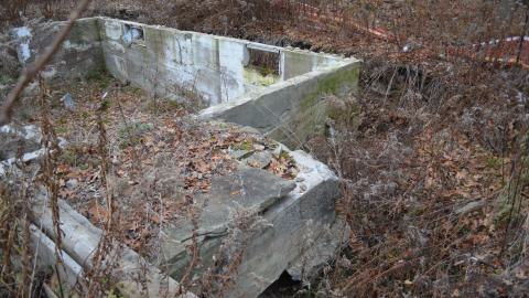 Ol' Finch's Foundations - DSC_0704.JPG