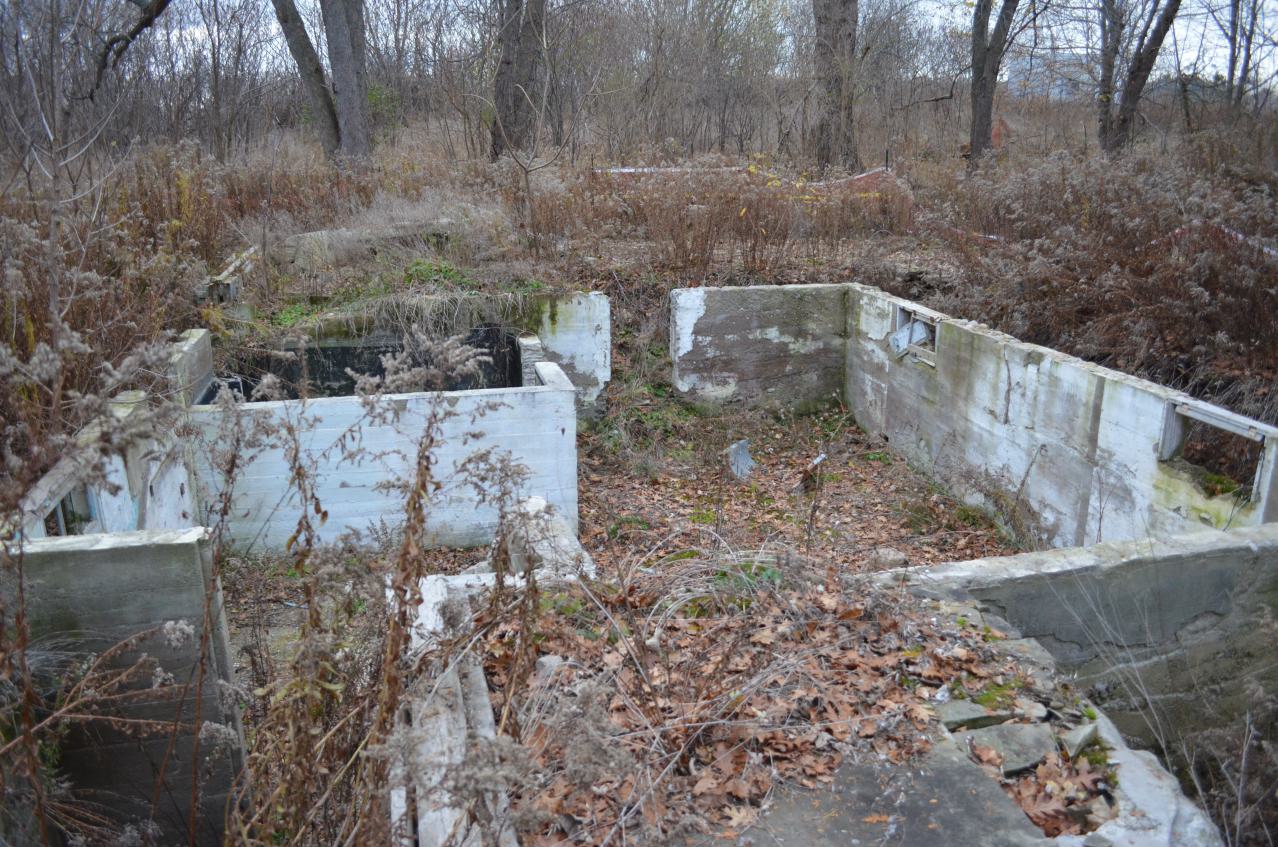 Ol' Finch's Foundations - DSC_0703.JPG