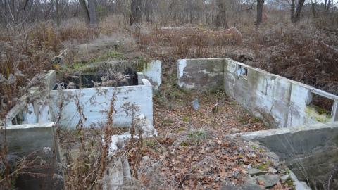 Ol' Finch's Foundations - DSC_0703.JPG