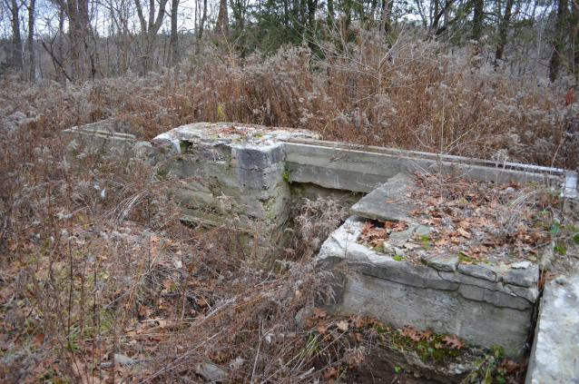 Ol' Finch's Foundations - DSC_0702.JPG