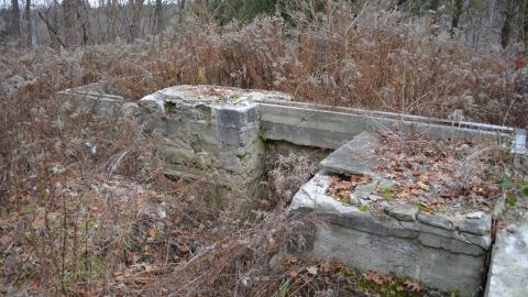 Ol' Finch's Foundations - DSC_0702.JPG