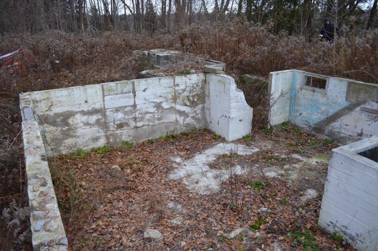 Ol' Finch's Foundations - DSC_0701.JPG