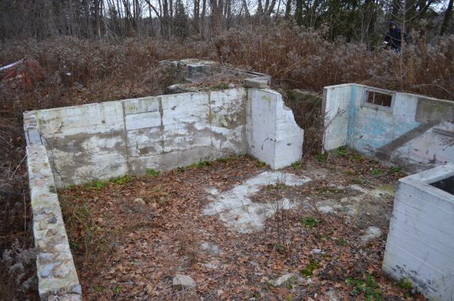 Ol' Finch's Foundations - DSC_0701.JPG